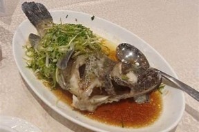 海角社区早餐定：健康美味的每日晨餐选择指南