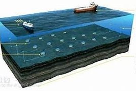 海角平台是什么？深度解析其功能和特点
