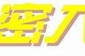 海角社区论坛：倾听百姓声音，共建美好生活