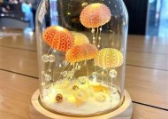 海角社区创意妈妈生日礼物制作教程，温馨又有意义的DIY指南