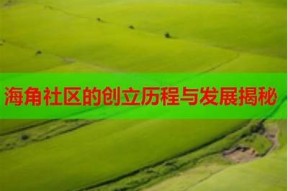 海角社区的创立时间及其发展历程解析